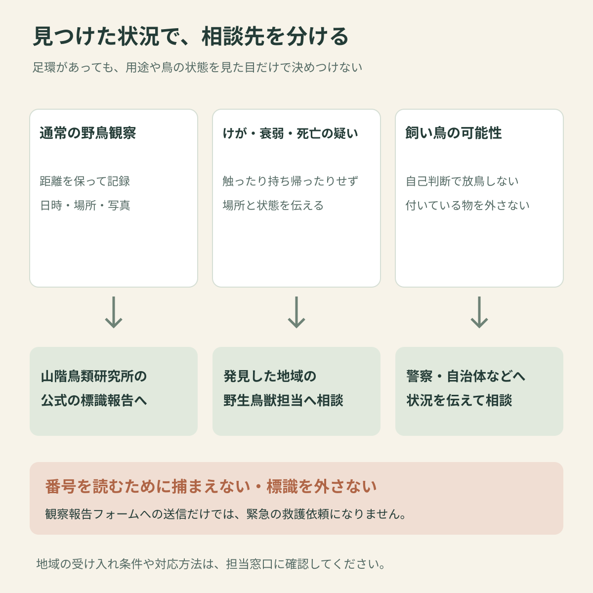 標識付きの鳥を見つけたときの分岐。通常の観察は日時・場所・写真を記録して山階鳥類研究所へ報告。けがや衰弱・死亡の疑いは地域の野生鳥獣担当へ、飼い鳥の可能性は警察や自治体へ相談。番号を読むために捕まえず標識を外さない。