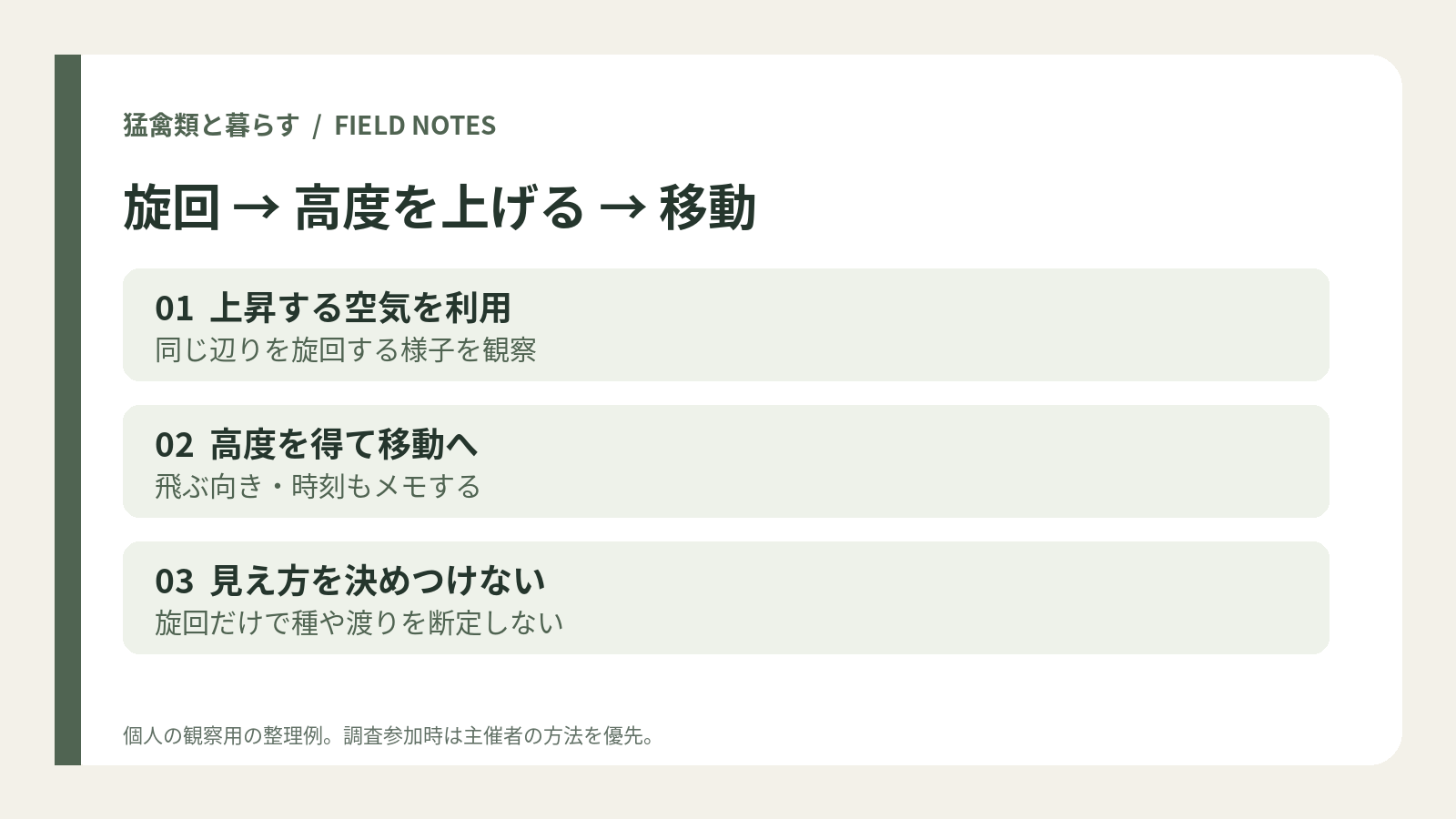01  上昇する空気を利用：同じ辺りを旋回する様子を観察。02  高度を得て移動へ：飛ぶ向き・時刻もメモする。03  見え方を決めつけない：旋回だけで種や渡りを断定しない。