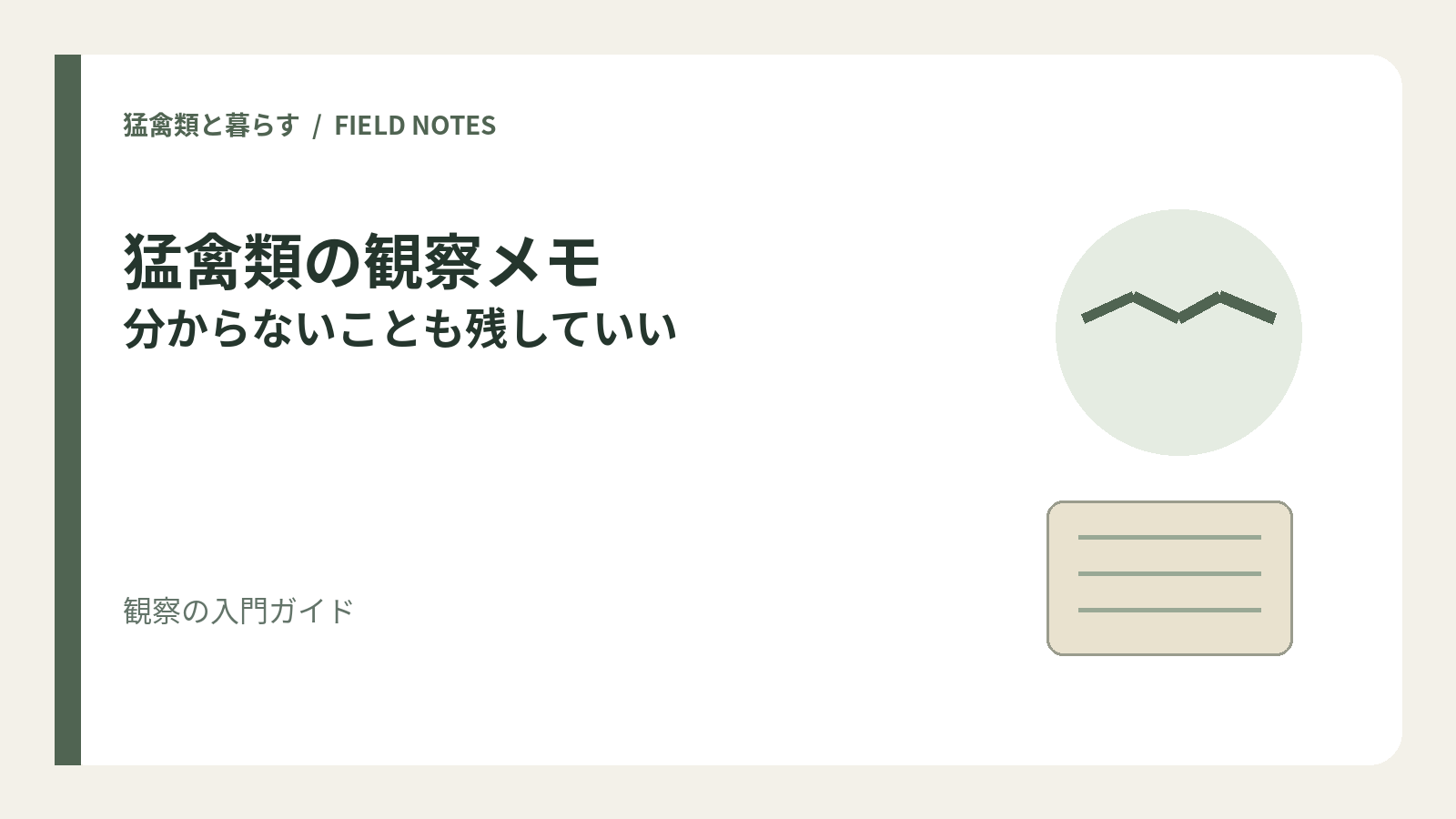 猛禽類の観察メモ / 分からないことも残していいを示すオリジナルの模式イラスト。実写・種の識別図ではありません。