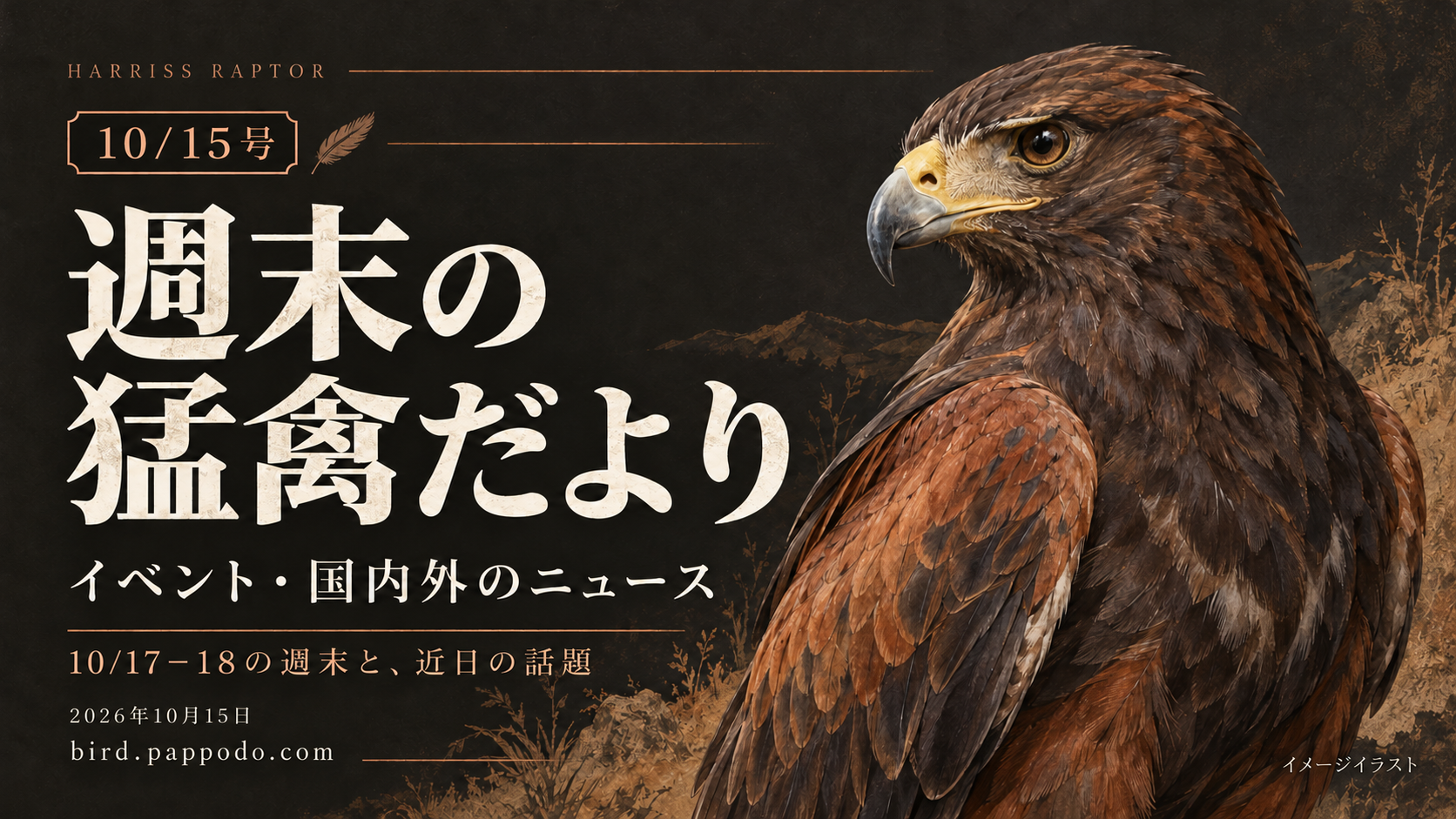 週末の猛禽だより2026年10月15日号。10月17〜18日の週末と近日の話題を紹介するHARRISS RAPTORの表紙。茶色い猛禽を描いたAI生成のイメージイラスト。